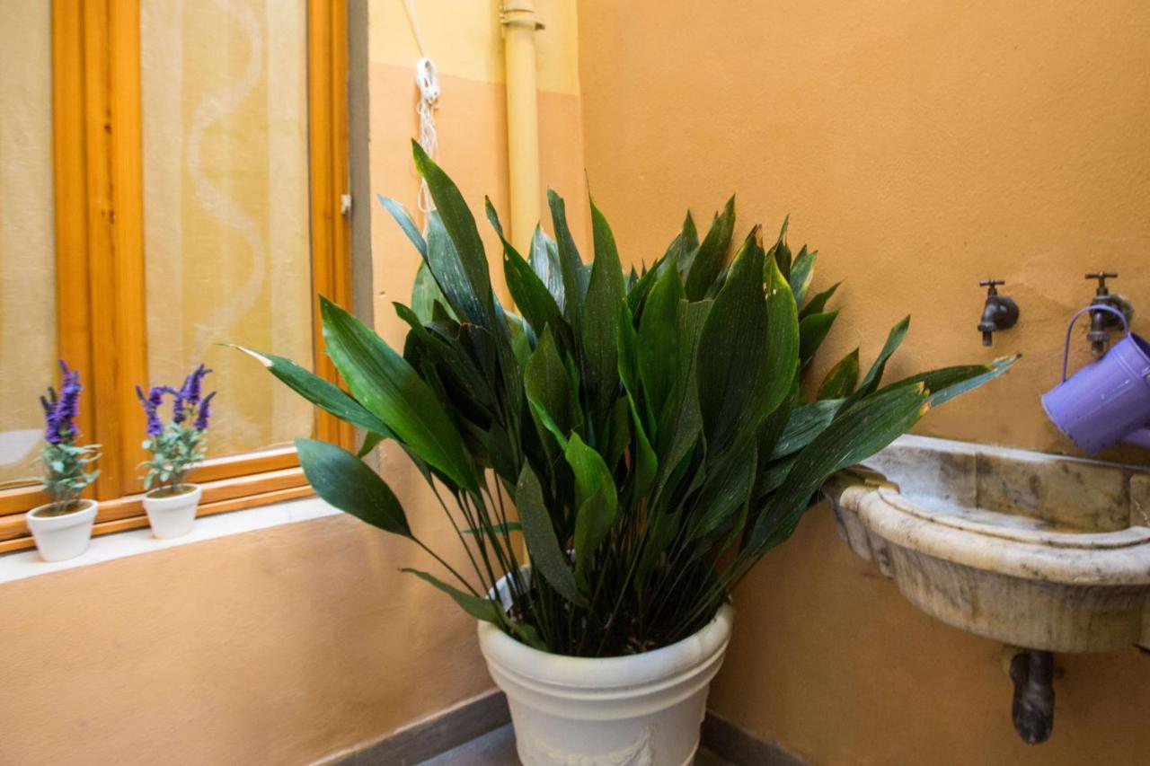 Charming Fiesolana Apartment In Heart Of Florencja Zewnętrze zdjęcie